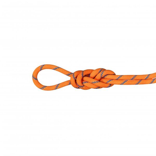 Mammut Mammut 9.0 Alpine Sender Dry Rope 2010-04200 Rigg Lofoten 1