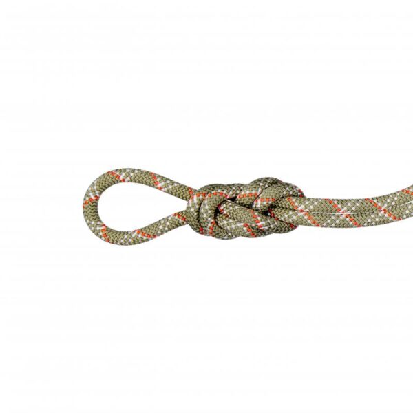 Mammut Mammut 9.5 Gym Classic Rope 50m 2010-05830 Rigg Lofoten 1