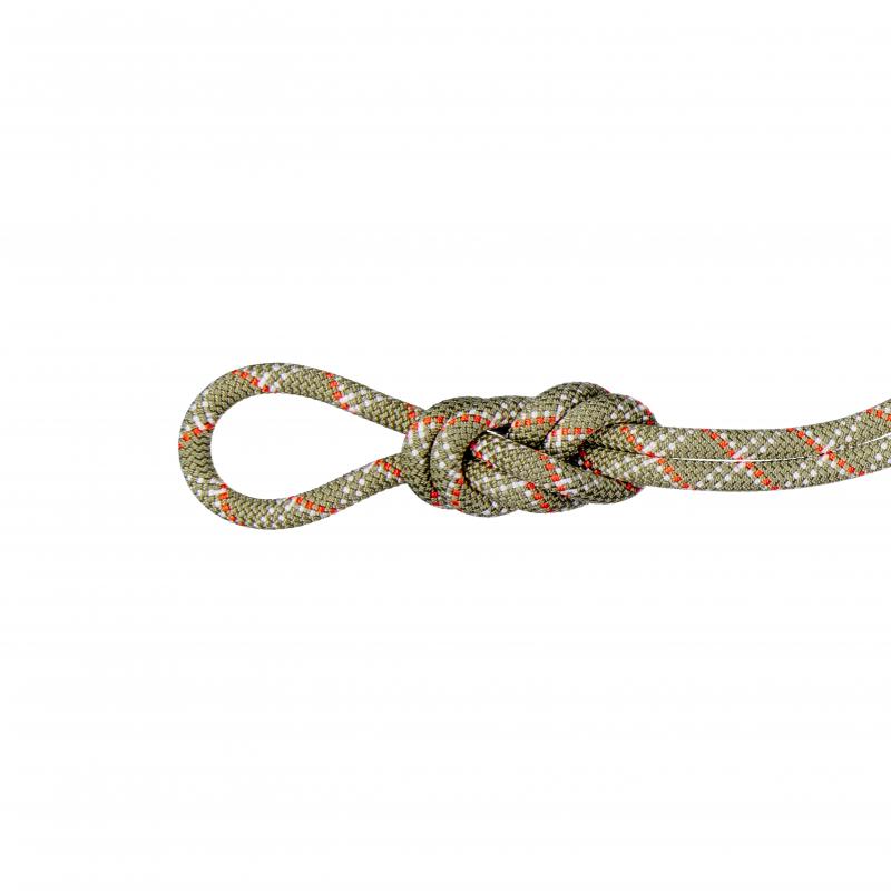Mammut Mammut 9.5 Gym Classic Rope 50m 2010-05830 Rigg Lofoten 1