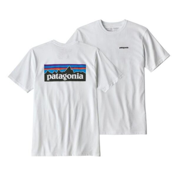 Patagonia Patagonia M P-6 Logo Responsibili-Tee P38504 Rigg Lofoten 1