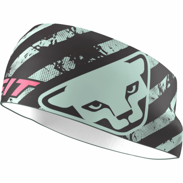 Dynafit Graphic Performance Headband Jadelite/ T