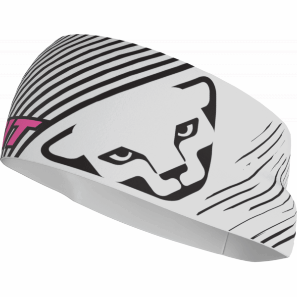 Dynafit Graphic Performance Headband Nimbus/ Str
