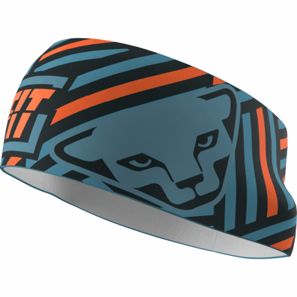 Dynafit Graphic Performance Headband Storm Blue/Ra