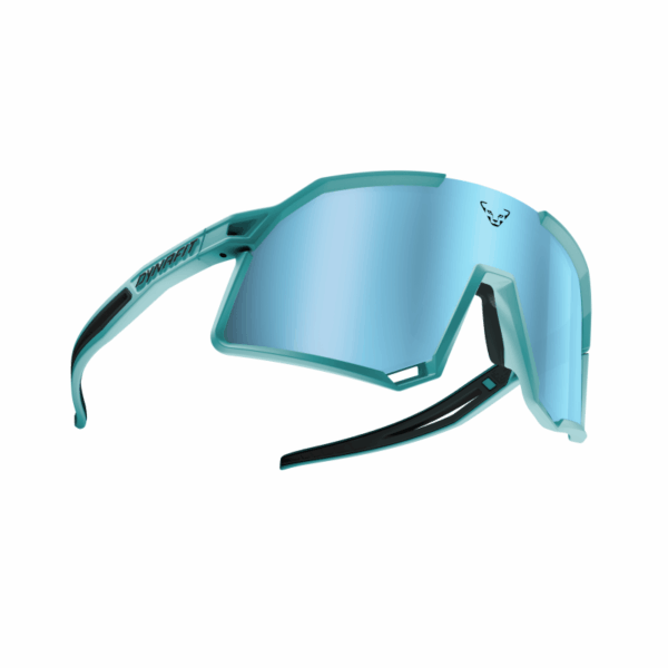 Dynafit Trail Evo Sunglasses  blå