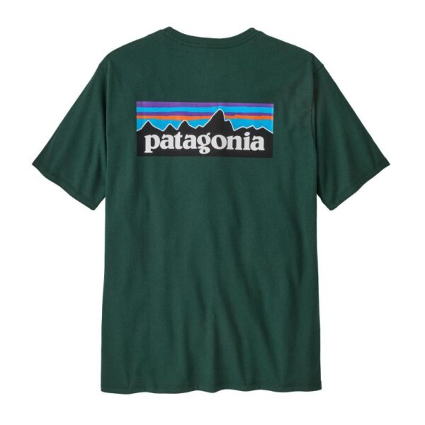 Patagonia Patagonia M´S P-6 Logo Responsibili-Tee P38504 Rigg Lofoten 1