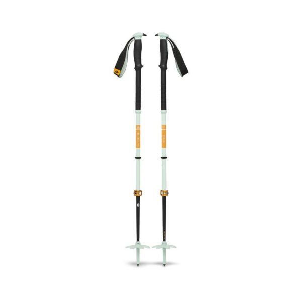Black Diamond Black Diamond Traverse Pro Ski Poles BD111611 Rigg Lofoten 1
