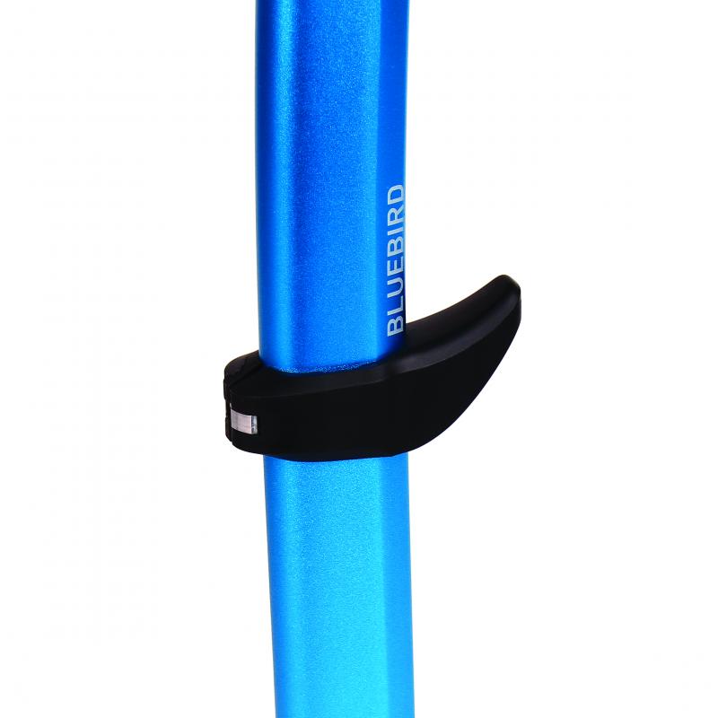 Blue Ice Bluebird isøks - Bilde 3