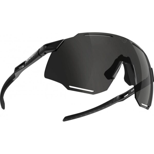 Dynafit Alpine Evo Sunglasses sort