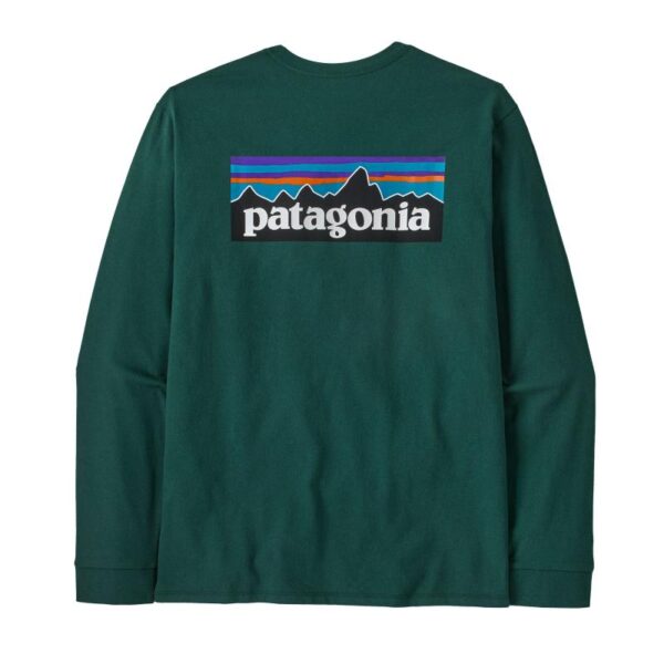 Patagonia Patagonia M´S L-S P-6 Logo Responsibili-Tee P38518 Rigg Lofoten 1