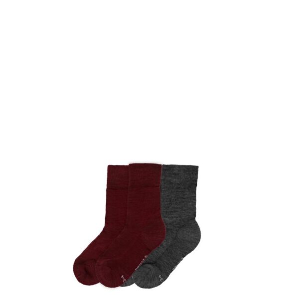 Devold Devold Daily Merino Medium Sock 2pk Kid SC 593 023 B Rigg Lofoten 1