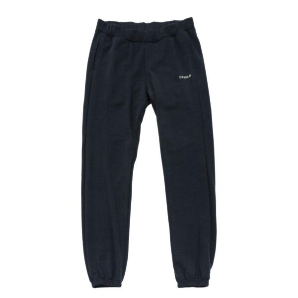 Devold Devold Everyday Pants Man GO 262 170 A Rigg Lofoten 1